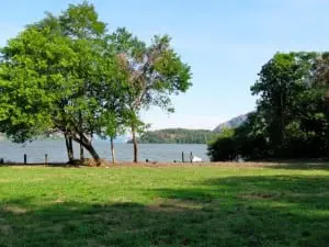 RiverVista