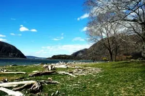 Dockside driftwood-LSA