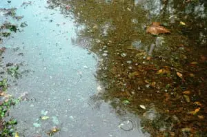 4_Raindrop_ripples