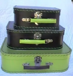 Monica Mahoney suitcases