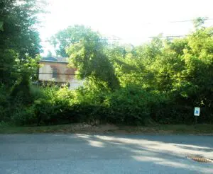 Lahey_parking-Grove_in_background