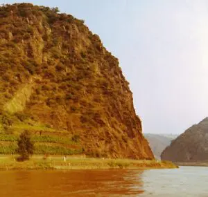 Rhine King