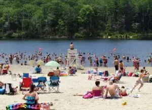 The Beach at Canopus Lake