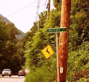 street where last car stolen