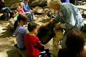 Bear Mountain Zoo Earth Day