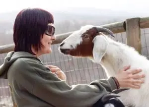Canavan and a Shepherd's View goat
