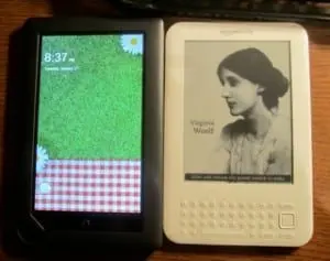 Nook L or Kindle- - let the cybrarians help you choose