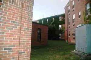 Old hospital-back