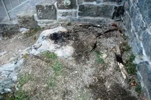 Signs of the fire remained visible Thursday afternoon.