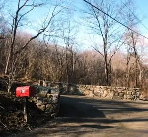 The wooded area near the entrance to 245 Avery Rd.
