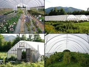 high tunnels
