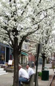 main st closeup MT