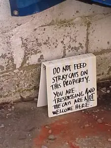 A sign in the parking lot behind 117 Main St. in Cold Spring warns people not to feed stray cats on the property.