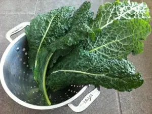 kale photo2