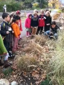 Haldane kindergartners working in the garden (Photo courtesy of Haldane)