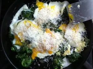 spinanch&egg1