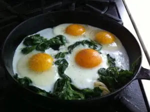 spinanch&egg2
