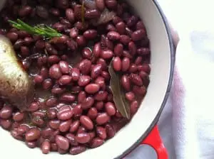 red bean photo 1