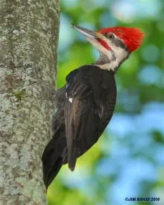 Photo courtesy of Hudson Highlands Land Trust