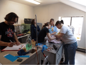 Workers in the triage area set up for the rescued cats at the shelter