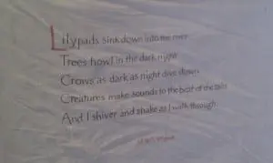 Fourth-grade poetry was hand lettered by Irene O'Garden on unbleached muslin and stretched on driftwood for the Poetry Trail at Constitution Marsh.