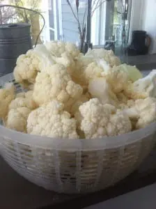 cauliflower
