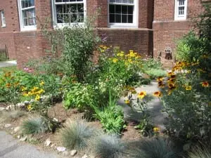 Haldane Garden one