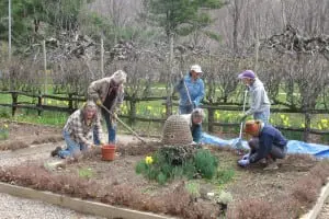 Philipstown Garden Club members working in the Boscobel herb garden on a Tuesday morning. Photo courtesy Phiipstown Garden Club