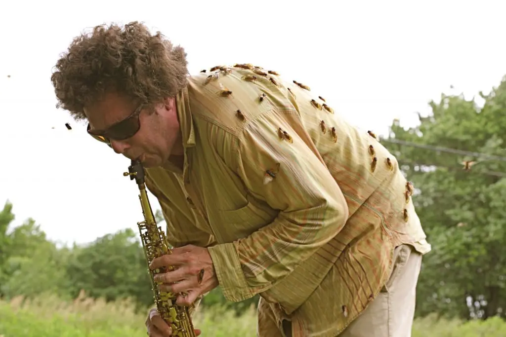 David Rothenberg plays with cicadas (Photo by Umru Rothenberg)