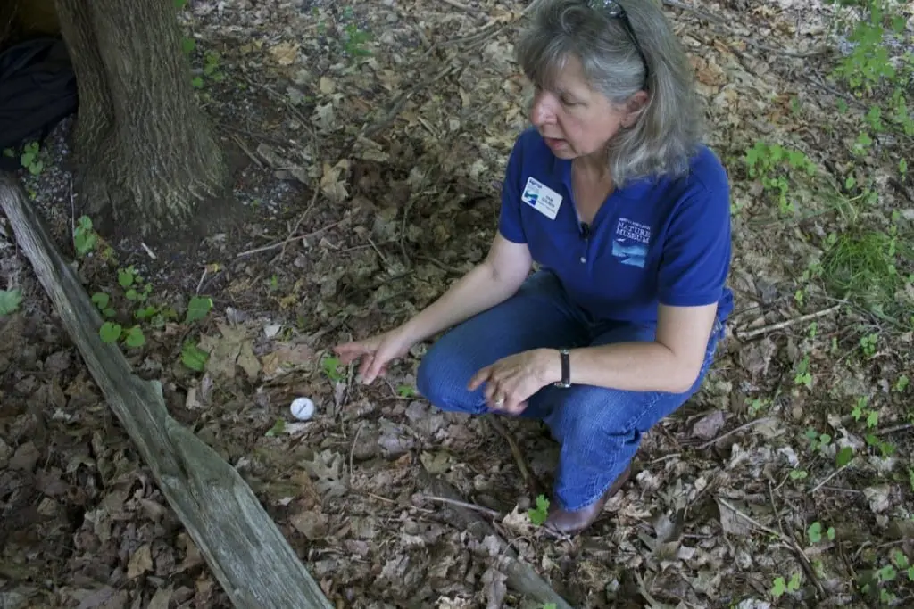 Pam Golben takes a ground temperature reading. (Photo by K.E. Foley)