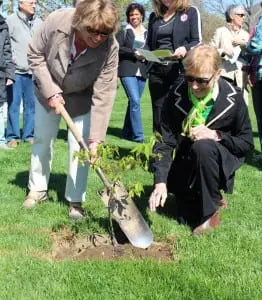 Philipstownâ
Gardenâ
Clubâ
Presidentâ
Beverlyâ
Leardi,â
left,â
andâ
Horticultureâ
Chairâ
JoAnnâ
Brownâ
plantâ
anâ
Americanâ
chestnutâ
treeâ
onâ
Chestnutâ
Streetâ
Aprilâ
26. Photoâ
courtesyâ
ofâ
PGC