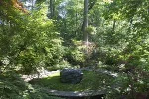 Bob Harvey garden
