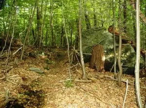 A trail winds through the woods beyond the Mystery Point visitor parking area.