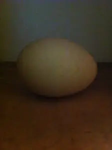 raw egg