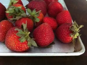 strawberries1