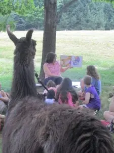 Desmond-Fish Children's Librarian Lucille Merry's reading of a llama-themed book was so engrossing that even the llama was listening!