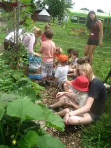 Children and their adult assistants working in the children's garden.   Photo by Sember Weinman