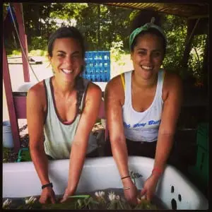 Farm manager Ellie Lobovits and volunteer  Andrea Brito-Nuñez wash scallions.  Photo by Ariella Narva