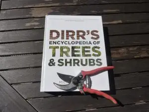 Tree and shrub maintenance keeps a garden healthy.  Photo by P. Doan
