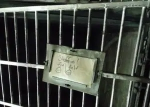 The former Isolation Ward cage of Stuffin, who died in the fire. Photo by MHAA Board President Don Petruncola