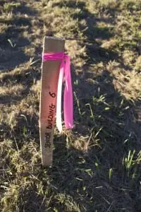 Markers have been placed at the Butterfield Redevelopment site. Photo by K.E. Foley