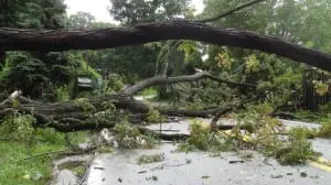 Storm damage can result in loss of power and deny residents access to their homes.