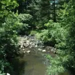 Foundry Brook, pictured upstream from the dam. (Photo by L.S. Armstrong)