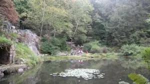 View of the landscape volunteers from 'across the pond.'