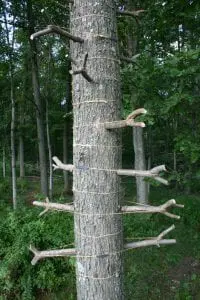 "Double Arbor Helix" by Winn Rea (Photo by Winn Rea)