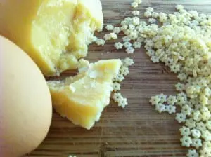 cheese photo