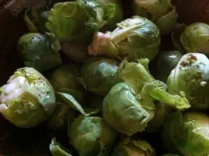 Brussels sprouts 2