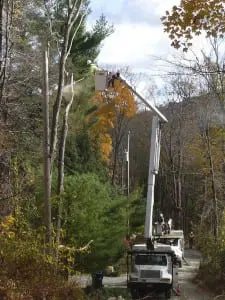 Work crews take all the branches off a tree and leave a stalk next to the road. 