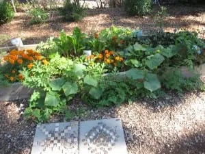 Last year's first graders planted this garden bed of flowers and vegetables.