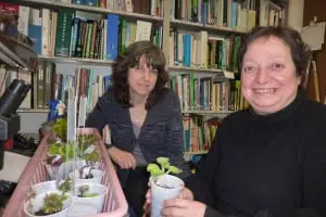 From left, Jennifer Stengle and Dianne Olsen, educators and community leaders with the Cornell Cooperative Extension office in Putnam County (Photo by P. Doan)